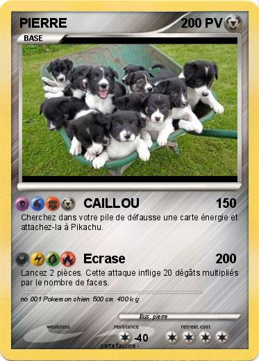 Pokemon PIERRE