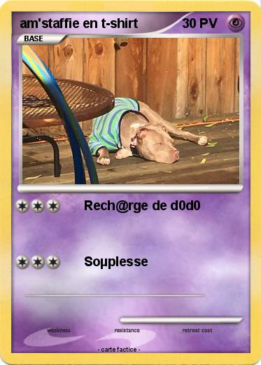 Pokemon am'staffie en t-shirt