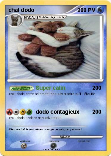 Pokemon chat dodo