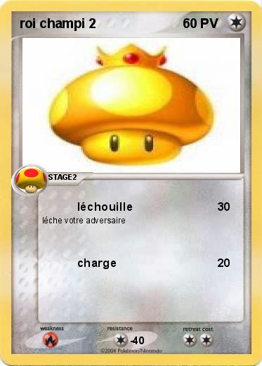 Pokemon roi champi 2