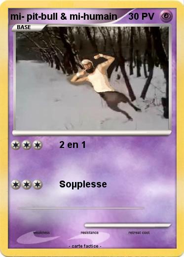 Pokemon mi- pit-bull & mi-humain