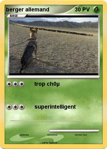 Pokemon berger allemand