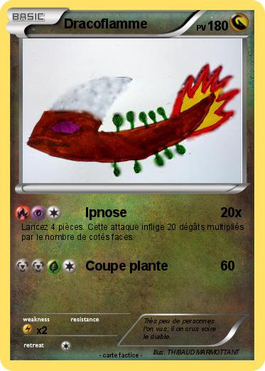 Pokemon Dracoflamme