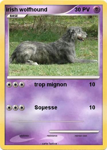 Pokemon irish wolfhound