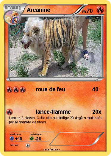 Pokemon Arcanine