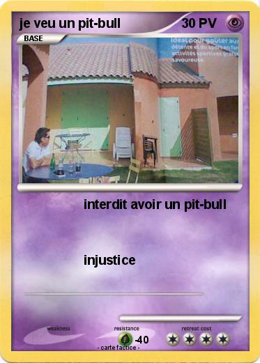 Pokemon je veu un pit-bull