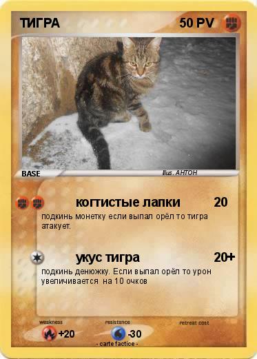 Pokemon ТИГРА