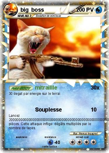 Pokemon big  boss
