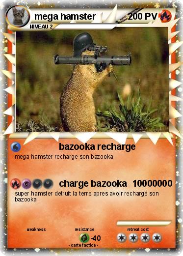 Pokemon mega hamster