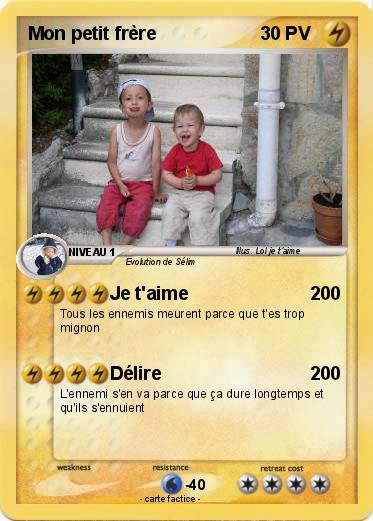 Pokemon Mon petit frère