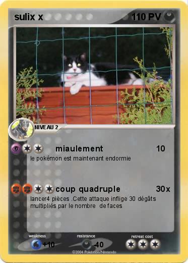 Pokemon sulix x