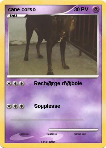 Pokemon cane corso