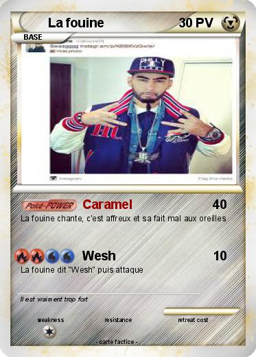 Pokemon La fouine