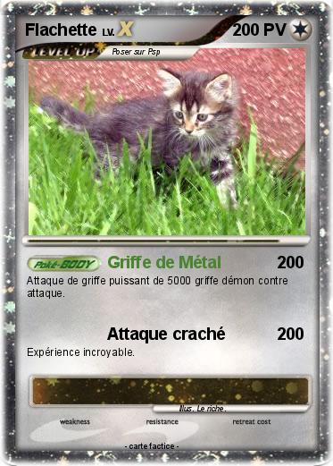 Pokemon Flachette