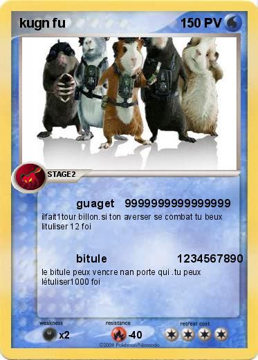 Pokemon kugn fu