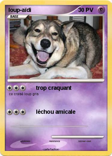 Pokemon loup-aïdi