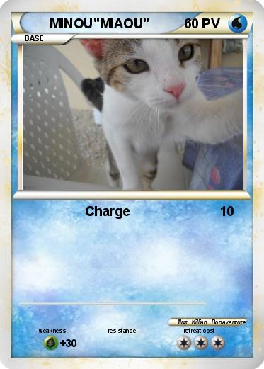 Pokemon MINOU"MIAOU"
