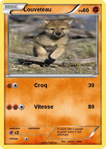 Pokemon Louveteau