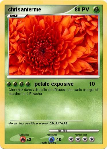 Pokemon chrisanterme