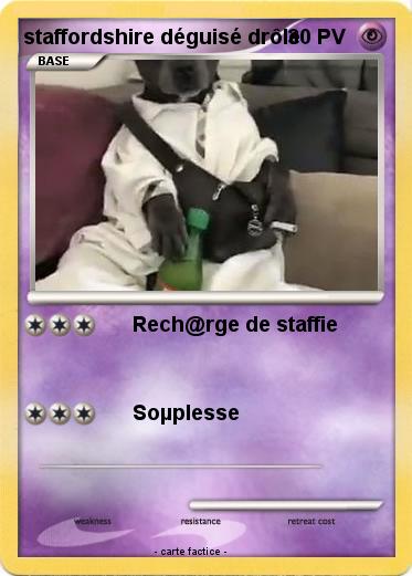 Pokemon staffordshire déguisé drôle