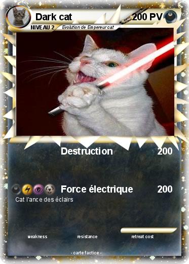 Pokemon Dark cat