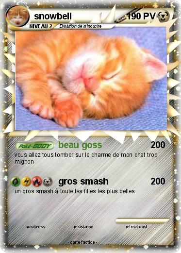 Pokemon snowbell