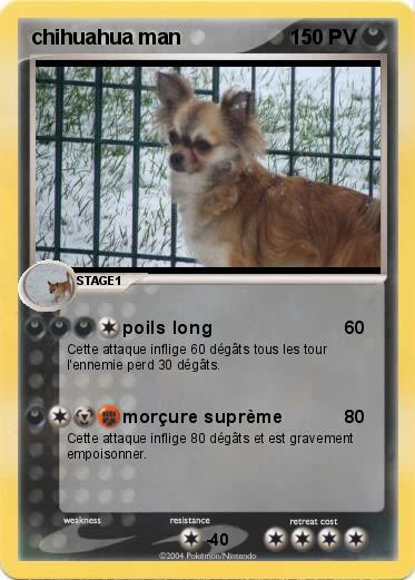Pokemon chihuahua man