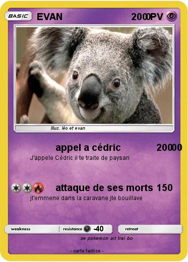 Pokemon EVAN                                 0