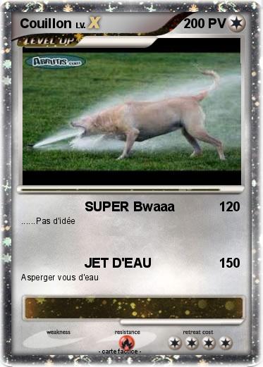Pokemon Couillon