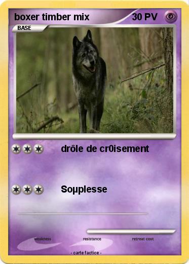 Pokemon boxer timber mix