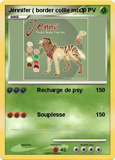 Pokemon Jénnifer ( border collie mix )