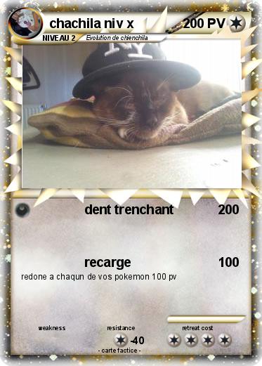 Pokemon chachila niv x
