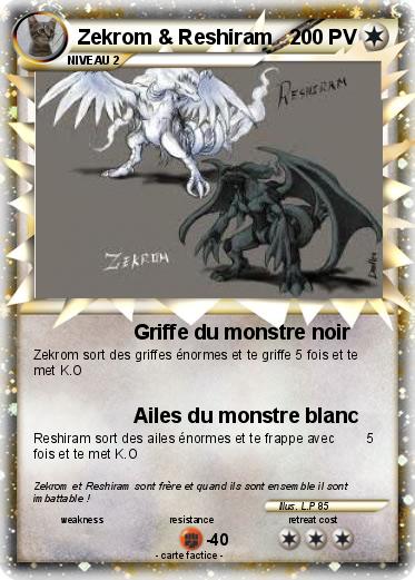 Pokemon Zekrom & Reshiram