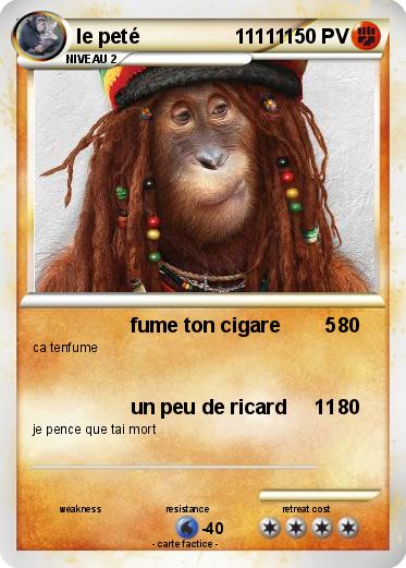 Pokemon le peté                 11111