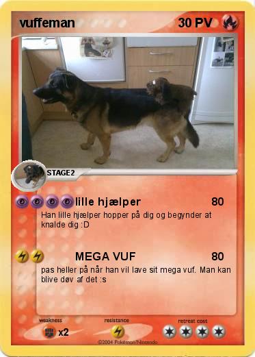 Pokemon vuffeman