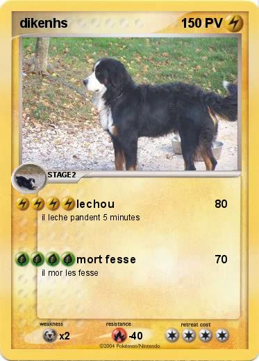 Pokemon dikenhs