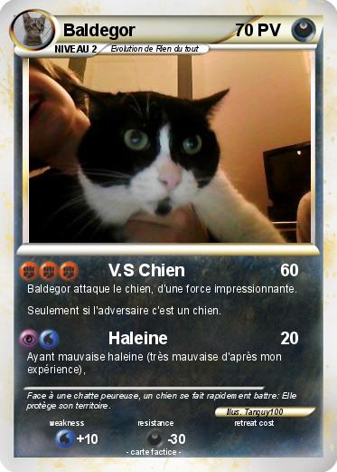Pokemon Baldegor