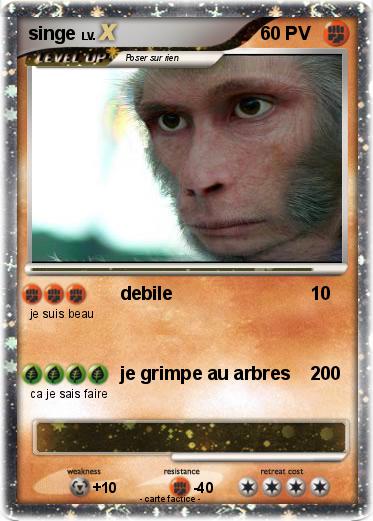 Pokemon singe