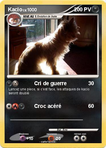 Pokemon Kacio