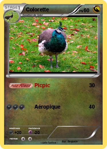 Pokemon Colorette