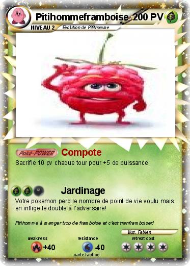 Pokemon Pitihommeframboise