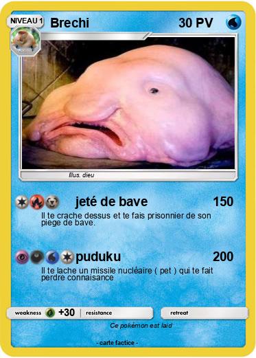 Pokemon Brechi
