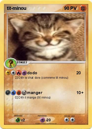 Pokemon tit-minou