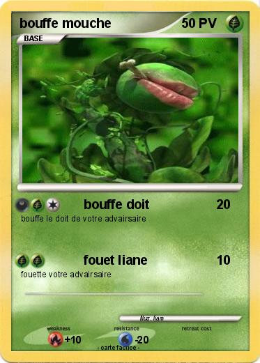 Pokemon bouffe mouche