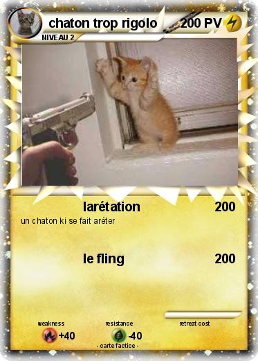 Pokemon chaton trop rigolo