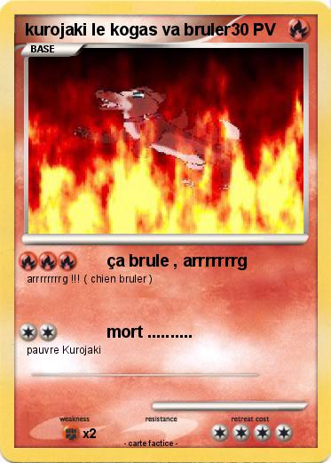 Pokemon kurojaki le kogas va bruler