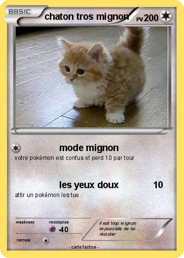 Pokemon chaton tros mignon