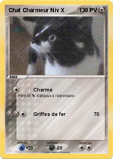 Pokemon Chat Charmeur Niv X