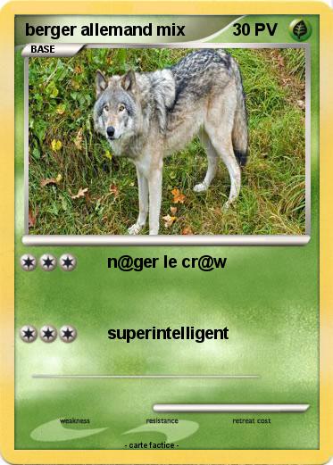 Pokemon berger allemand mix