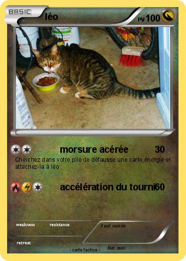 Pokemon léo
